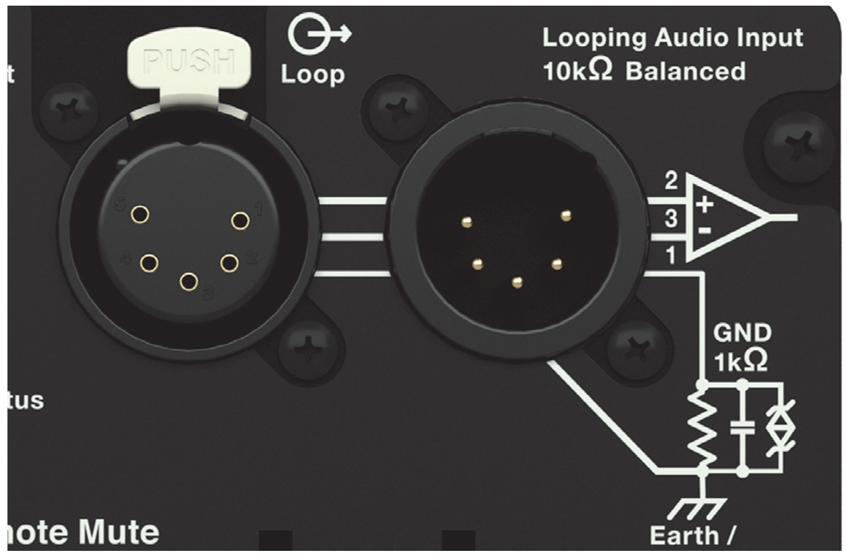 lina-5-pin-xlr.jpg