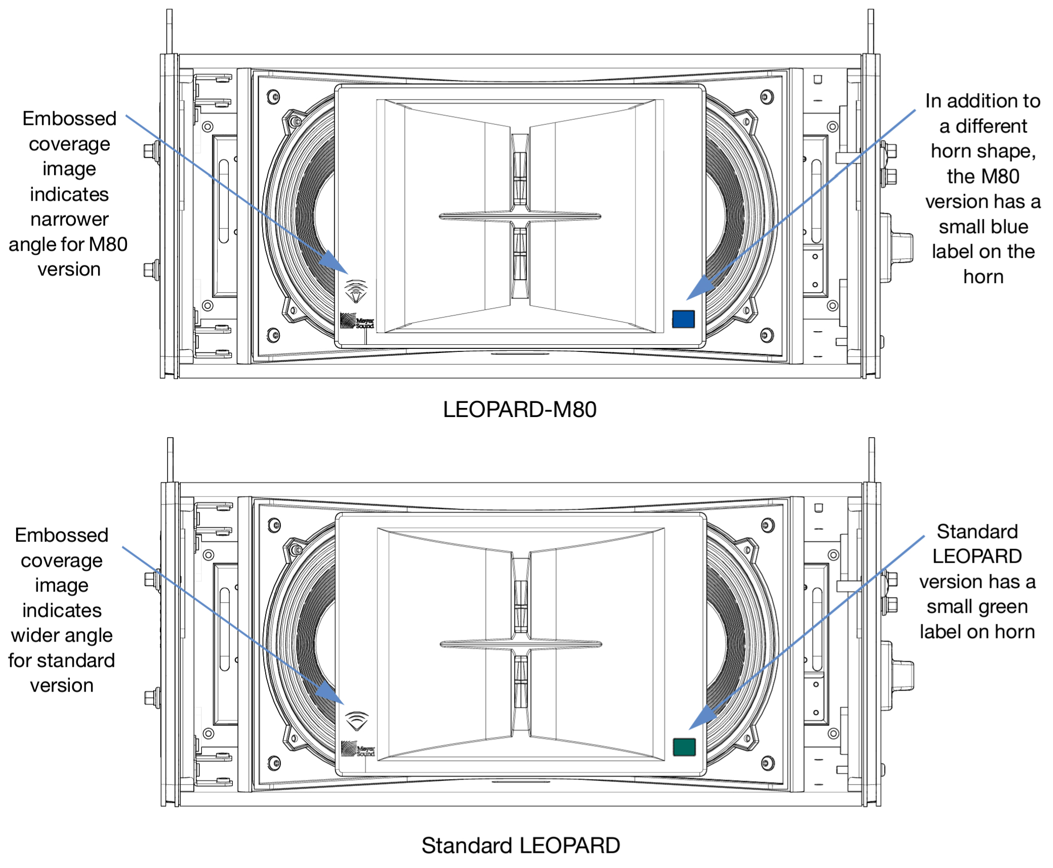 leopard-and-m80-horns.jpg