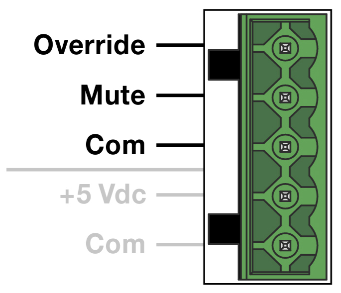 cal-override-and-mute-pins.jpg